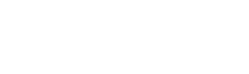 logo camsneak
